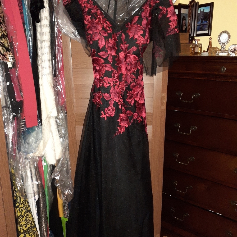 Beautiful evening gown